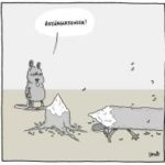 Freitag? Anfängerfehler